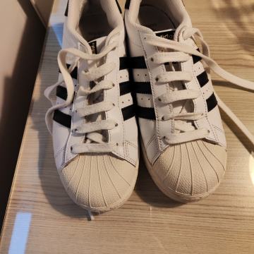 Tenisice Adidas superstar 38