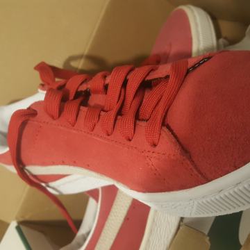 Tenisice Puma broj 37 teniske