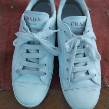 Ženske cipele, tenisice Prada