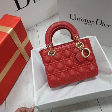 Christian Dior Torbica