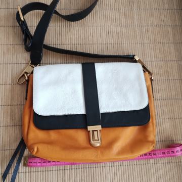 Coccinelle torba (original)