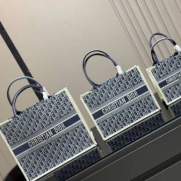 Ženska torba torbica Dior