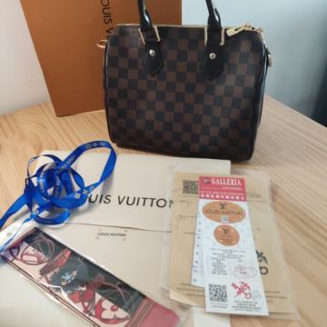 Ženska torba torbica Louis Vuitton