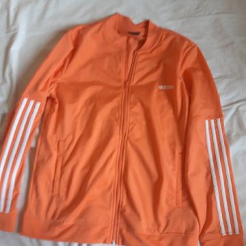 Trenirka (L) adidas gornja