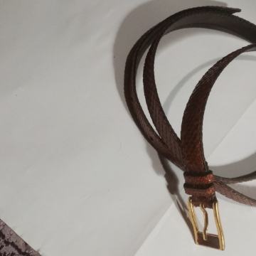 Ženski Smedji remen zmija