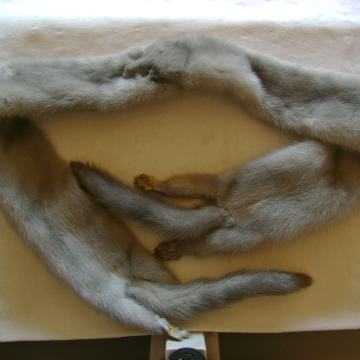 Krzneni ovratnik - pravo krzno