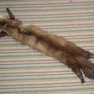 Krzneni šal od smeđe kune