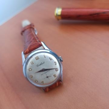 Coltebert navijač Swiss