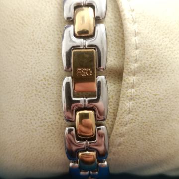 ESQ Swiss watch