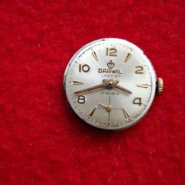 SAT. DARWIL- Lady67. ž. Mašinica. 17 rubisa. Mob