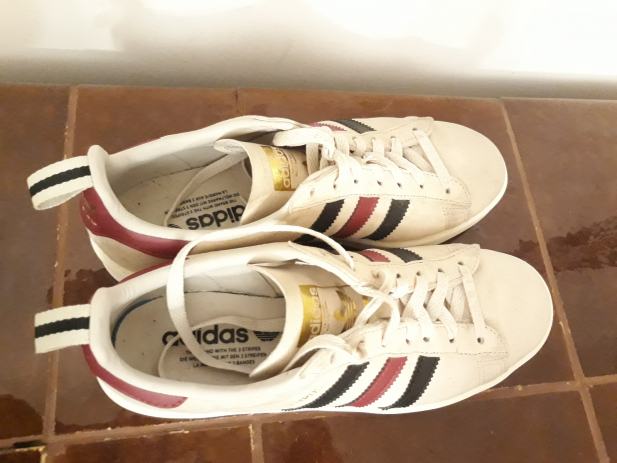 adidas campus tenisice