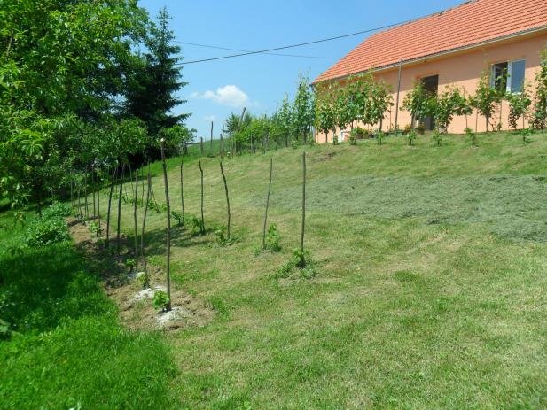 Kuća Glogovec Zagorski, prizemnica, 70 m2 (prodaja)