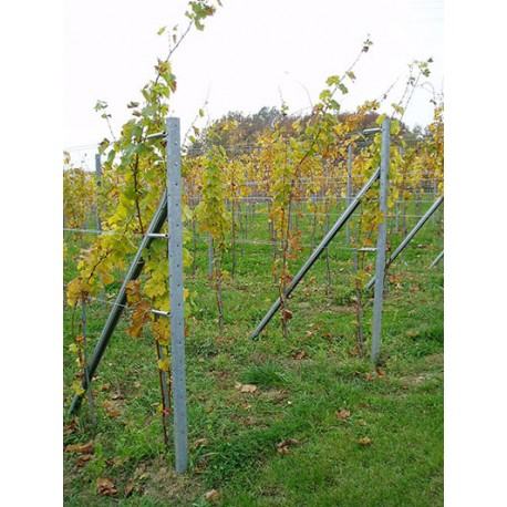 Krajnji stup za vinograd-v 2700 mm