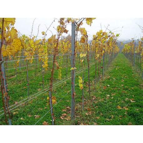 Redni stup za vinograd-v 2650 mm
