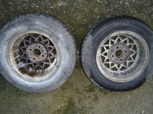 P:Ally cat special rallye 6x13