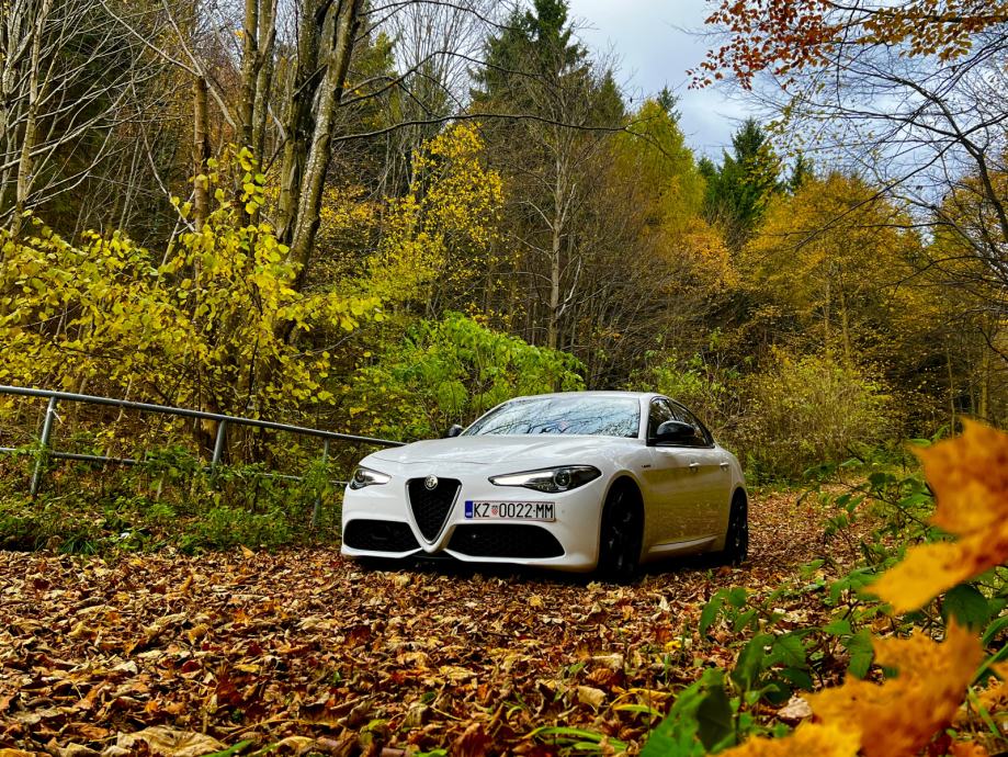 Alfa Romeo Giulia 2,2 JTD, fotografija 15
