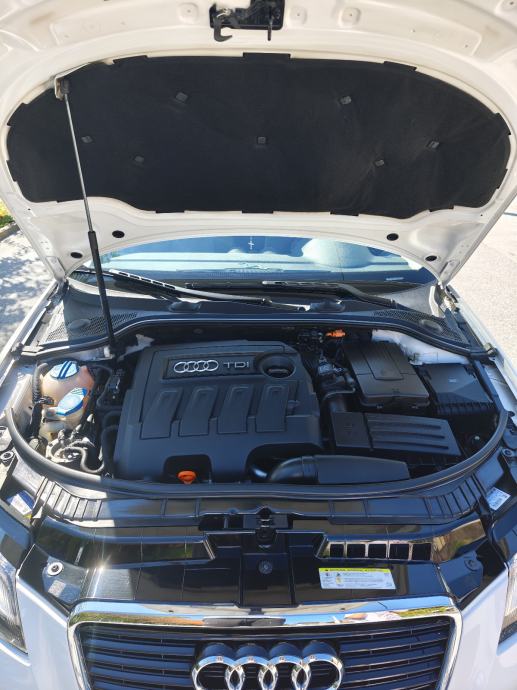 Audi A3 1,6 TDI S-tronic automatik, fotografija 17