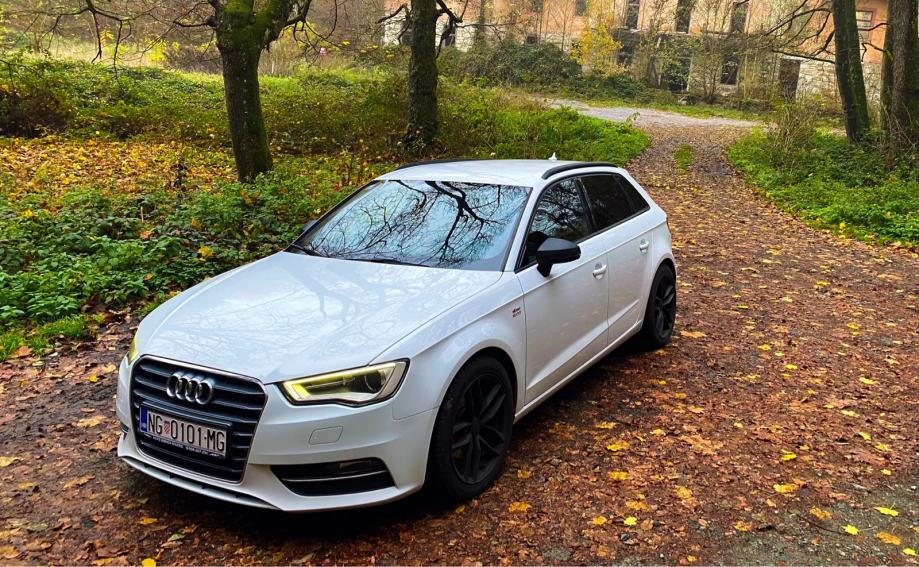 Audi A3 8v 2 0 Tdi