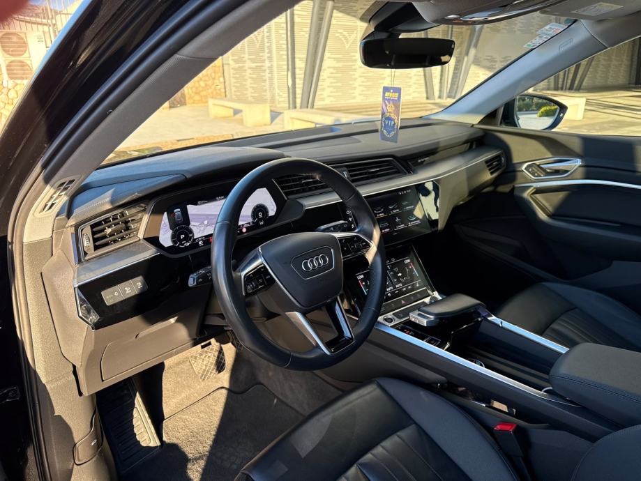 Audi e-tron 55 quattro automatik, fotografija 10