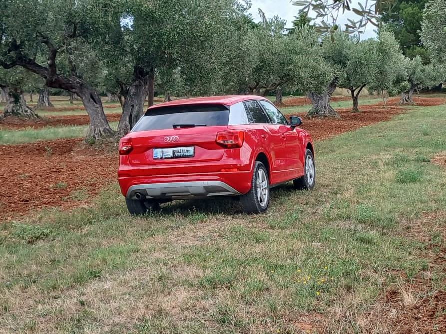 Audi Q2 • 2017 • 1.6 TDI • Garažiran • Servis. knjižica • Reg. do 8/27, fotografija 12