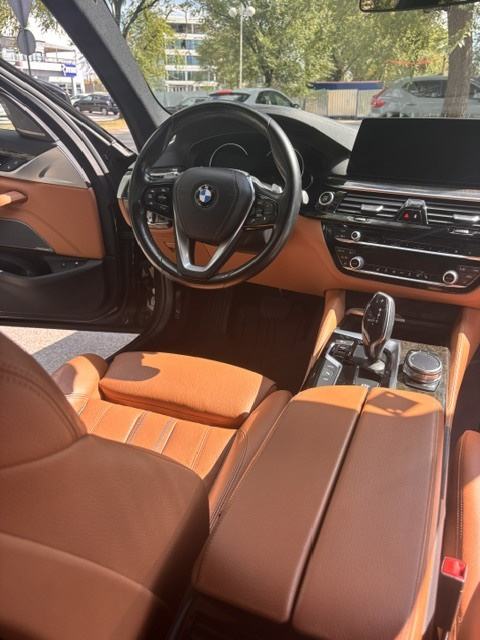 BMW 530e iPerformance Luxury Line, fotografija 11