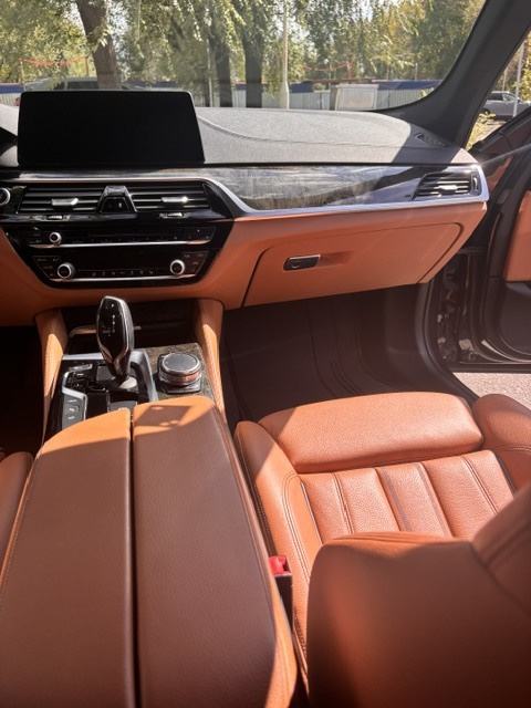 BMW 530e iPerformance Luxury Line, fotografija 12