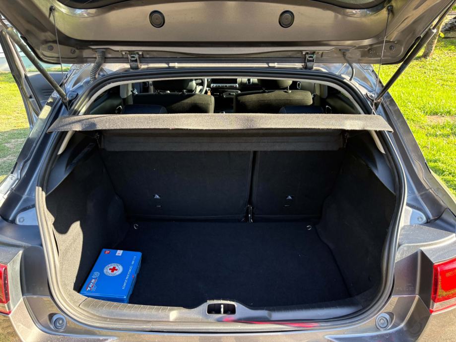 Citroën C4 Cactus 1,2 PureTech, fotografija 14