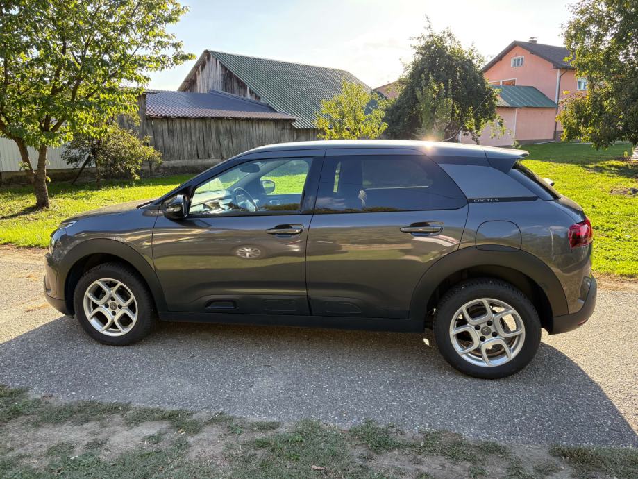 Citroën C4 Cactus 1,2 PureTech, fotografija 8