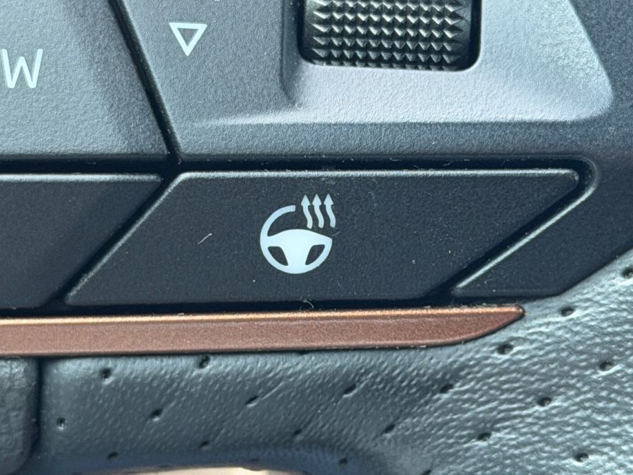 Cupra Formentor 1.4 eHybrid,JAMSTVO,KOŽA,ALU 19,AMBIENT,RADAR,U PDV-U!, fotografija 18
