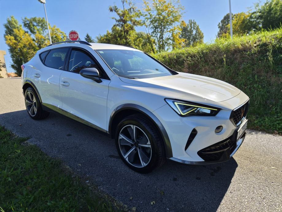 Cupra Formentor 2,0 TDI 150ks Automatik 4x4 *Tvorničko jamstvo*, fotografija 12