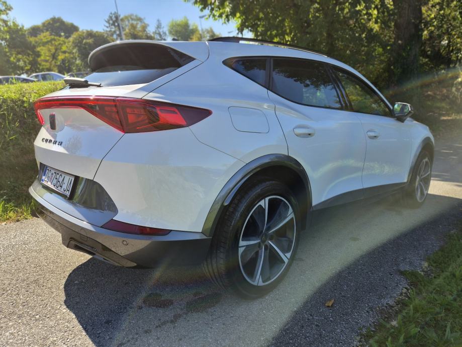 Cupra Formentor 2,0 TDI 150ks Automatik 4x4 *Tvorničko jamstvo*, fotografija 13