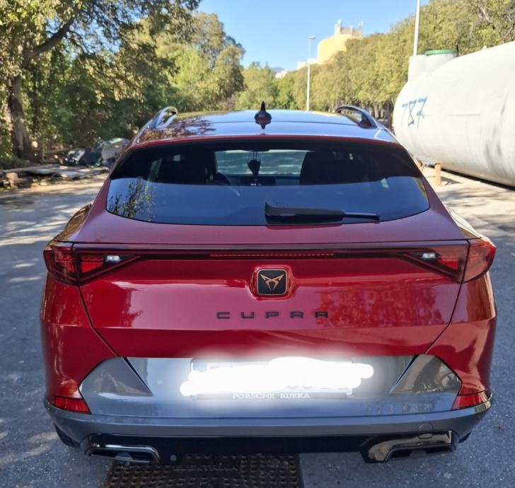 Cupra Formentor 2,0 TDI automatik, fotografija 2
