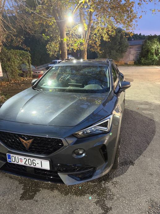 Cupra Formentor 2,0 TSI automatik, fotografija 5
