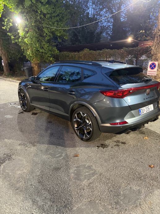 Cupra Formentor 2,0 TSI automatik, fotografija 6