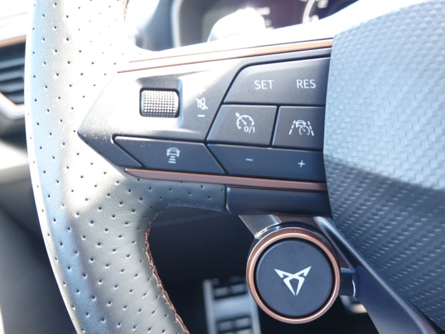 Cupra Formentor VZ 4Drive 2.0 TSI DSG+F1+LED+ACC+DCC+VZV.KAMERA, fotografija 17