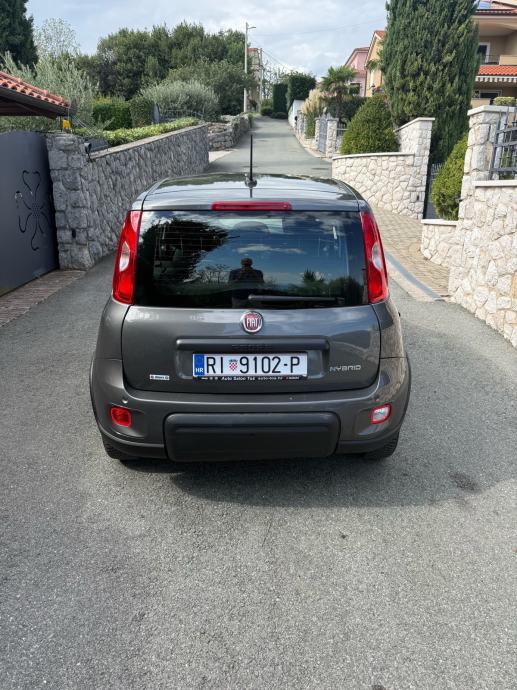 FIAT PANDA 1.0 Hybrid, Easy, hatchback 2023, fotografija 2