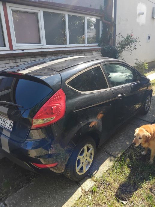 Ford Fiesta 1,6 tdci, fotografija 7