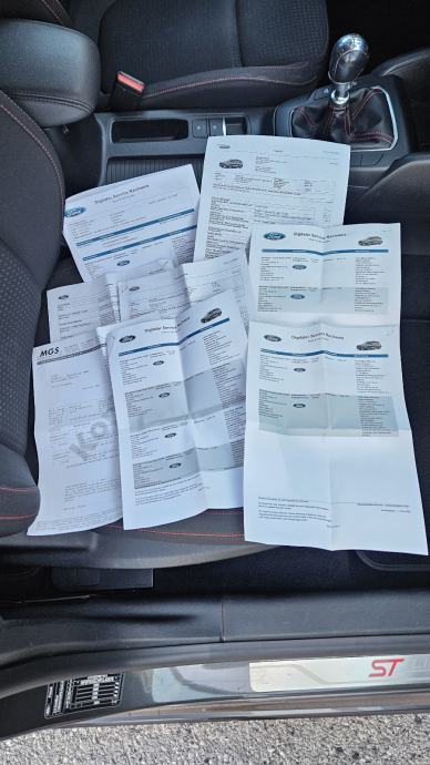 Ford Focus 2,0 St-Line#Navi#Kamera#Servisna#, fotografija 14