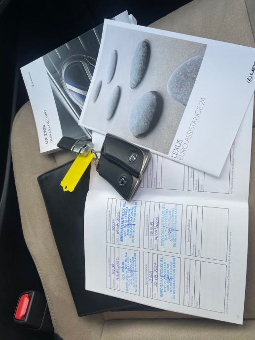Lexus UX UX 250h Automatik, Hybrid, pogled izvana - slika 5
