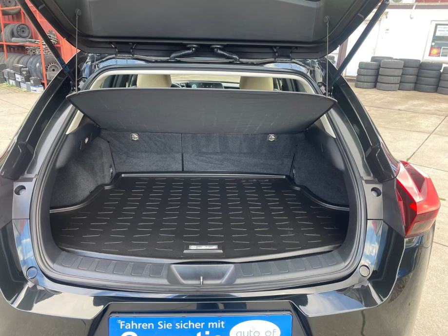 Lexus UX UX 250h Automatik, Hybrid, fotografija 8