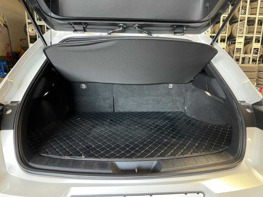 Lexus UX UX 250h Automatik, Hybrid, pogled izvana - slika 4