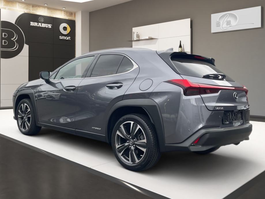 Lexus UX UX 250h Automatik, Hybrid, pogled izvana - slika 5