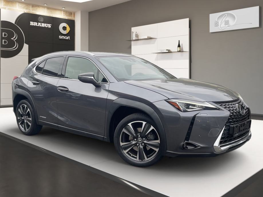 Lexus UX UX 250h Automatik, Hybrid, fotografija 6