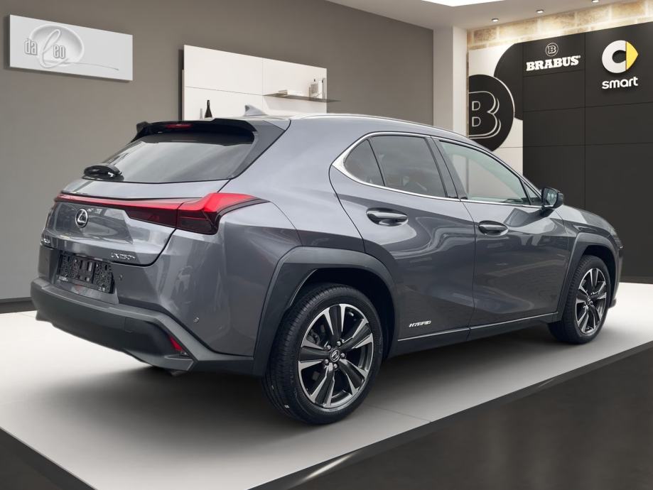 Lexus UX UX 250h Automatik, Hybrid, fotografija 11