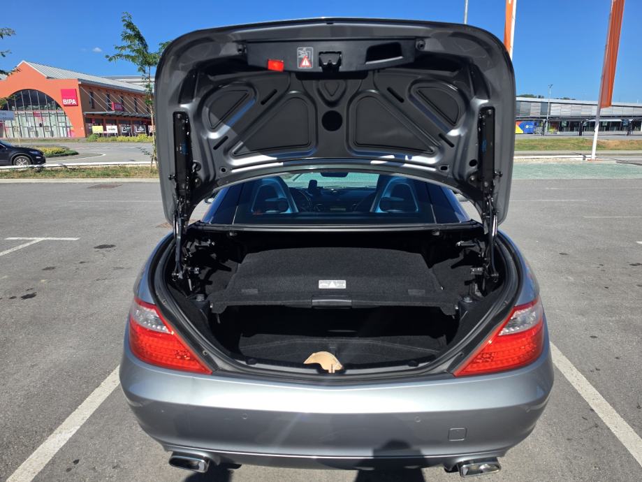 Mercedes-Benz SLK diesel cabrio-roadster 250 CDI automatik, fotografija 7