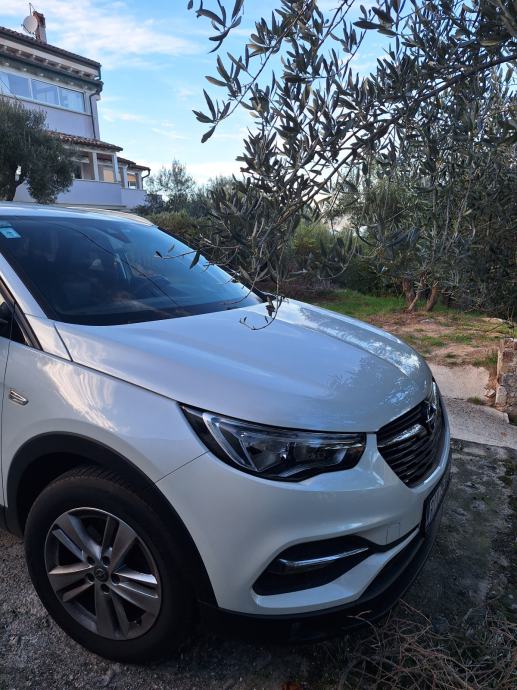 Opel Grandland 1,2 Turbo, fotografija 2