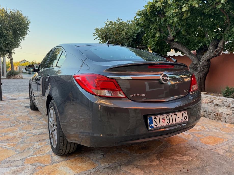 Opel Insignia 2,0 CDTI, fotografija 8