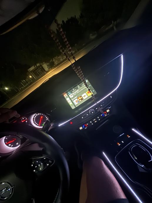 Opel Insignia 2,0 CDTI, fotografija 9