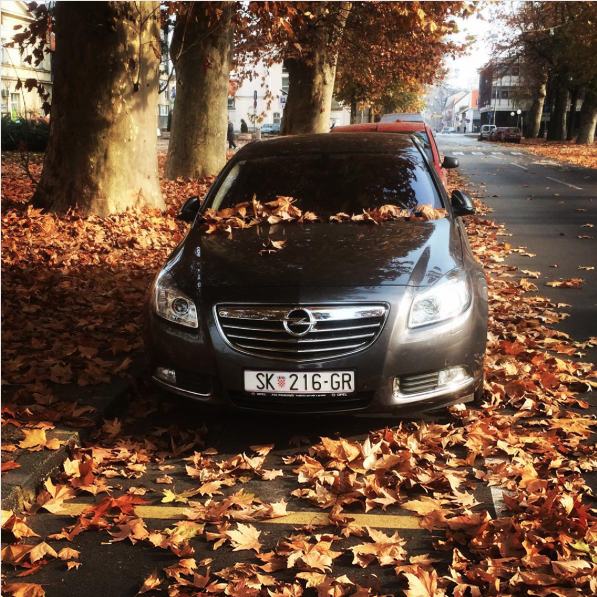 Flexride opel insignia
