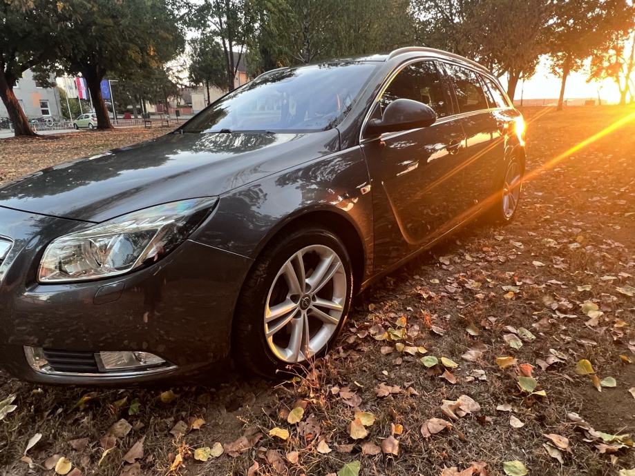 Opel Insignia (Sports tourer) 2.0 CDTI, fotografija 14